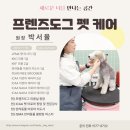 프렌즈도그 미용실 광주 서구점 이미지