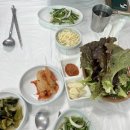 달반늘 이미지