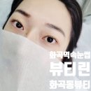 이솜 동물병원 | 화곡역 속눈썹펌주의사항 뷰티린 화곡동 속눈썹