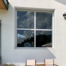 그린애견 이미지