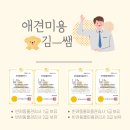 김쌤애견