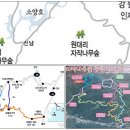 3-① 2019년10월26일~27일[원주굽이길 이어걷기 2차]12코스(귀래면사무소~화당초교)+원대리/수산리 자작나무숲▶인제 원대리 자작나무숲 이미지