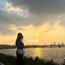 (주)코리아세븐 반포서래점 | 몽글해지는 노을보며 반포한강공원 산책데이트(달빛무지개분수 시간, 뚜벅뚜벅축제 기본 정보)