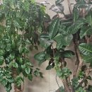 새롬미디어 | [공지] 세계적인 미디어 아티스트 백남준의 작품 감성...스터디카페, <#새롬스터디카페>.사당동, 이수역...