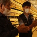 평전농장 이미지