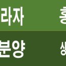 서연약국 이미지
