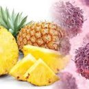 원주소화 이미지