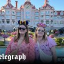 LOVELY DAY'S GROOMING 이미지