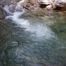 곡성-270 Daum카페