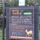 본오동 898-7 ~ 본오동 901-8 주변 | 0789 백두22구간 버리미기재~장성봉~악희봉~주치봉~장성봉~지름티재~은티마을 2014.8.9.토요일 구름많음