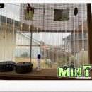 마정리'머뭄' 이미지