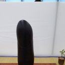 한국수