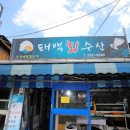 태백 횟집 추천할께요 쫄깃쫄깃 회랑 물회 맛있는 곳 태백회수산! 추천해요