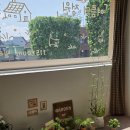 수원 북수동 115room 여름의 정원 전시 후기 내돈내산