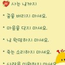 콘티 이미지