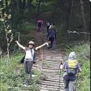 하동 금오산 등반, 술상마을 전어회도 먹고 이미지