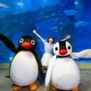 롯데월드아쿠아리움 이미지