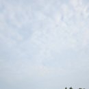 광덕산3로1L 네이버블로그