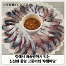 통영고등어회 | 집에서 배송받아서 먹는 신선한 통영 고등어회 '우람바당' 솔직후기