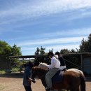 봉래초등학교 | 초등학교 제주 수학여행 3박4일 봉래초 실사례, 여름 예약 전 담당 선생님이 꼭 봐야 할 코스와 일정