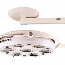 용강동물병원 이미지