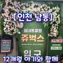 [육아/여가] 인천실내동물원 &#34;쥬벅스&#34; 방문후기