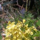 화수목 농원 이미지