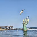 울산회식당 이미지