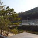 자곡로 네이버블로그