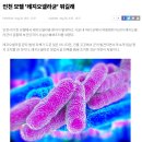 에이치에스(HS) 홈케어인천점 | 맞이 에어컨 청소, 에어컨 비염,기침 예방 하기 - 진해 상쾌한 이비인후과, 에이치에스(HS) 홈케어 후기