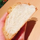[ 제주 서귀포시 🥐- 단팥빵, 크림빵맛집 ] &#34; 다미안 &#34; ( 포장, 취식 가능)