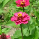 홍익농장 이미지