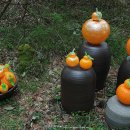 제주 유리의 성 이미지