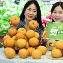 상주농협하나로마트 이미지