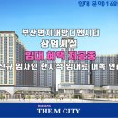 디엠개발