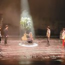 4.3 창작뮤지컬 동백꽃 피는 날 이미지