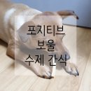 포지티브 보울 수제간식