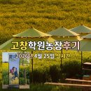 산의농장 | 고창 청보리밭 학원농장 2026 입장료, 시간 총정리 실시간 후기