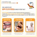 빈사이