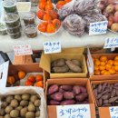 두부마을 | [남양주 별내] 두부마을 오픈런 후기