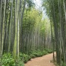 영산호관광지 | 해상케이블카·순천만국가정원·오동도유람선·죽녹원 [이 구역 핫플⑦ 광주·전남]