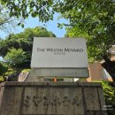 라쿠 | 교토 웨스틴 미야코 호텔 올데이 다이닝 라쿠 (RAQOU) 뷔페 후기