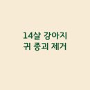 좌천동물병원 이미지