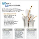 (주)비전약품 이미지