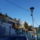 초장중학교 이미지