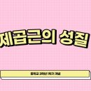개념A플러스학원