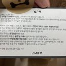 마티애견 이미지