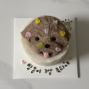 수원 강아지 수제간식 까까가개 애견 케이크