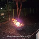 진북편백골관광농원캠핑장 | 창원마산, 진북편백골 관광농원 캠핑장