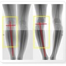 짐 크래커 이미지